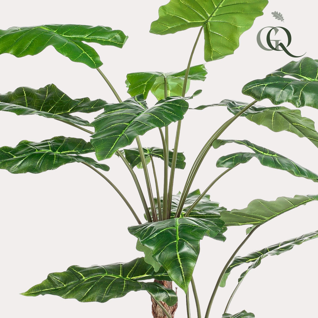 Alocasia - 180 cm - kunstpflanze-Plant-Botanicly