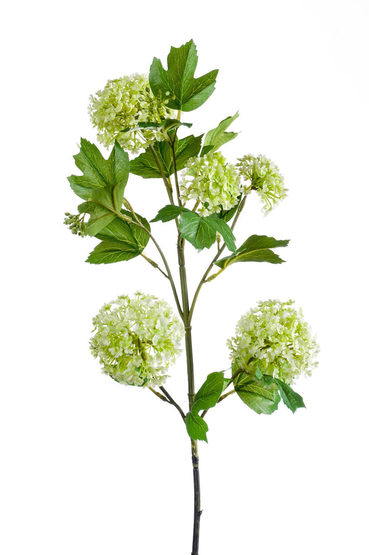 Kunstblumen - Viburnum Opulus Zweige creme x 4 - 75cm