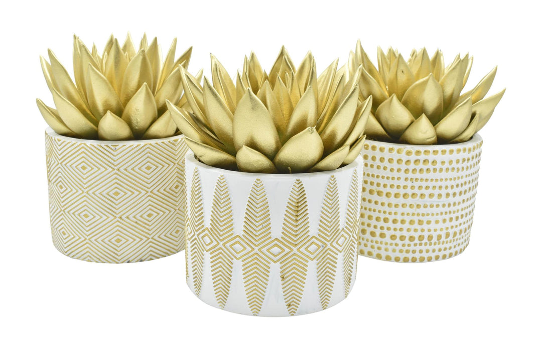 Echeveria Coloured + Glitter in Xmas Gold-White Ceramics - 3 stuks - Ø10,5cm - ↕12cm